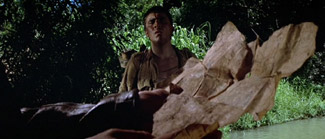 Indiana Jones - Contact