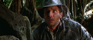 Raiders of the Lost Ark is the most successful Indiana Jones movie of all times in the US. With a budget of only $20,000,000 the movie grosses more than $242,474,000.