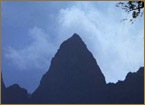Raiders of the Lost Ark - Trivia