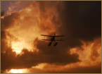 Raiders of the Lost Ark - Trivia